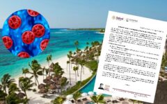 COFEPRIS descarta presencia de Cyclospora en hoteles de la Riviera Maya