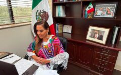 Quintana Roo reforestará el sur del estado para recuperar ecosistemas dañados