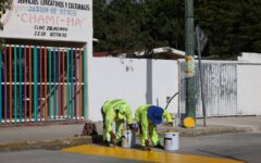 Refuerzan seguridad peatonal y mantenimiento urbano en la SM 92 de Cancún