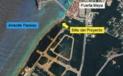 Advierten posible impacto ambiental por proyecto turístico en Cozumel