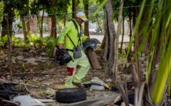 Gobierno de BJ recupera espacios públicos en la SM 255