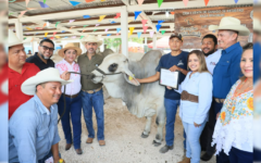 Entrega Sedarpe apoyo para ganaderas y ganaderos de Bacalar