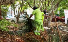 Cancún refuerza mantenimiento de calles y espacios públicos
