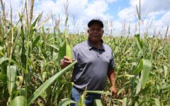 Apoyo al campo rinde frutos: sector agropecuario crece 26.7% en Quintana Roo