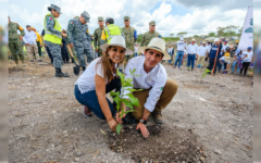 Q. Roo se suma al Programa Nacional de Reforestación con más de 12 mil árboles