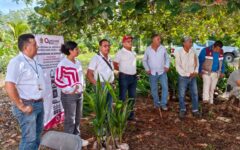 Inicia Sedarpe entrega de insumos del Programa Fomento Agrícola 2026