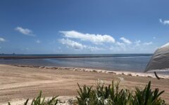 Innovan para salvar playas