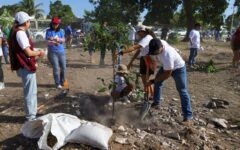 Inicia «Arboriza Cancún» en su fase III