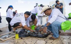 Invitan a sumarse a la XLI Jornada Internacional de Limpieza de Playas