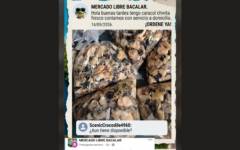 Alertan por venta ilegal de caracol chivita en Bacalar