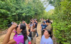 Acerca ‘Observando con el Corazón’ a la comunidad a la avifauna de Cozumel
