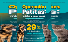 Convocan a sumarse a la campaña «Operación Patitas: michis y guau guaus»