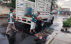 Refuerzan atención por lluvias y encharcamientos en Puerto Morelos