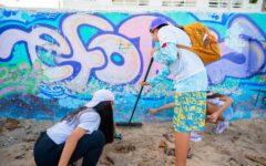 Suman esfuerzos por la conservación de las costas de Cozumel
