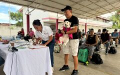 Realizan 200 esterilizaciones de perros y gatos en la Supermanzana 259