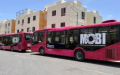 Prevén llegada de autobuses MOBI a Playa del Carmen antes de concluir 2026