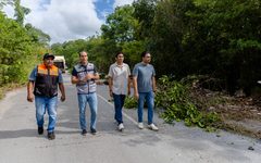 Tulum refuerza limpieza y pide evitar tiraderos clandestinos