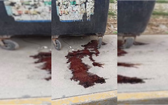 El charco rojo que encendió las alarmas en Paraíso Maya… y terminó siendo pollo
