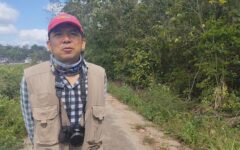 Advierten sobre amenazas a la diversidad de abejas nativas en Quintana Roo.
