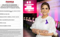Wilma Contreras se registra para la Coordinación Distrital Federal de Morena en el Distrito 02