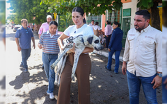 Estefanía Mercado encabeza rescate de ocho caninos en situación vulnerable