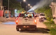 Refuerzan acciones contra criaderos de moscos