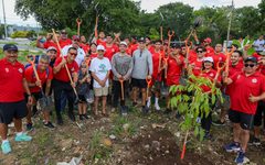 Arboriza Cancún suma 150 árboles en la avenida 20 de Noviembre