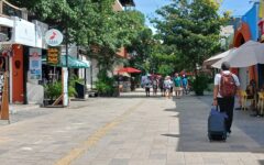 Impulsan reglamento de arbolado urbano