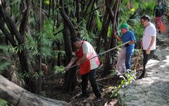 Preservan cenote de la SM 523 con jornada de limpieza