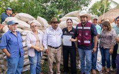 Estefanía Mercado entrega nueve toneladas de maíz a productores ganaderos