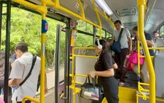 Concesionan el transporte