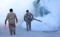 Atacan dengue en panteones