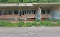 “Torito” sobrevive a la intemperie en José María Morelos