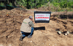 Clausura Profepa predio en Playa del Carmen por desmonte de más de 14 mil m² de selva