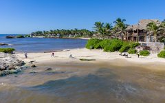 Playas de Tulum recuperan su belleza natural y llaman a conservarlas