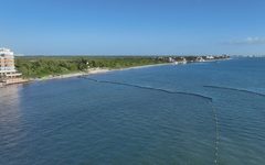 Marina refuerza limpieza de playas ante pronóstico de sargazo para diciembre