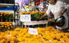 Vigilarán comercio en panteones de Cancún por Día de Muertos